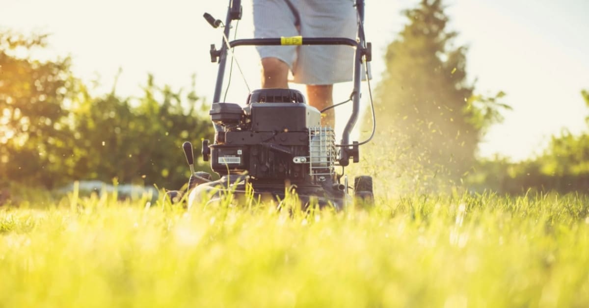 Navy veteran Springer Blankenship mowing overgrown lawn for elderly neighbor in Maryland