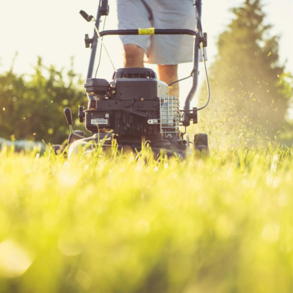 Navy Veteran Mows Lawns for Free in Glen Burnie - Image 2