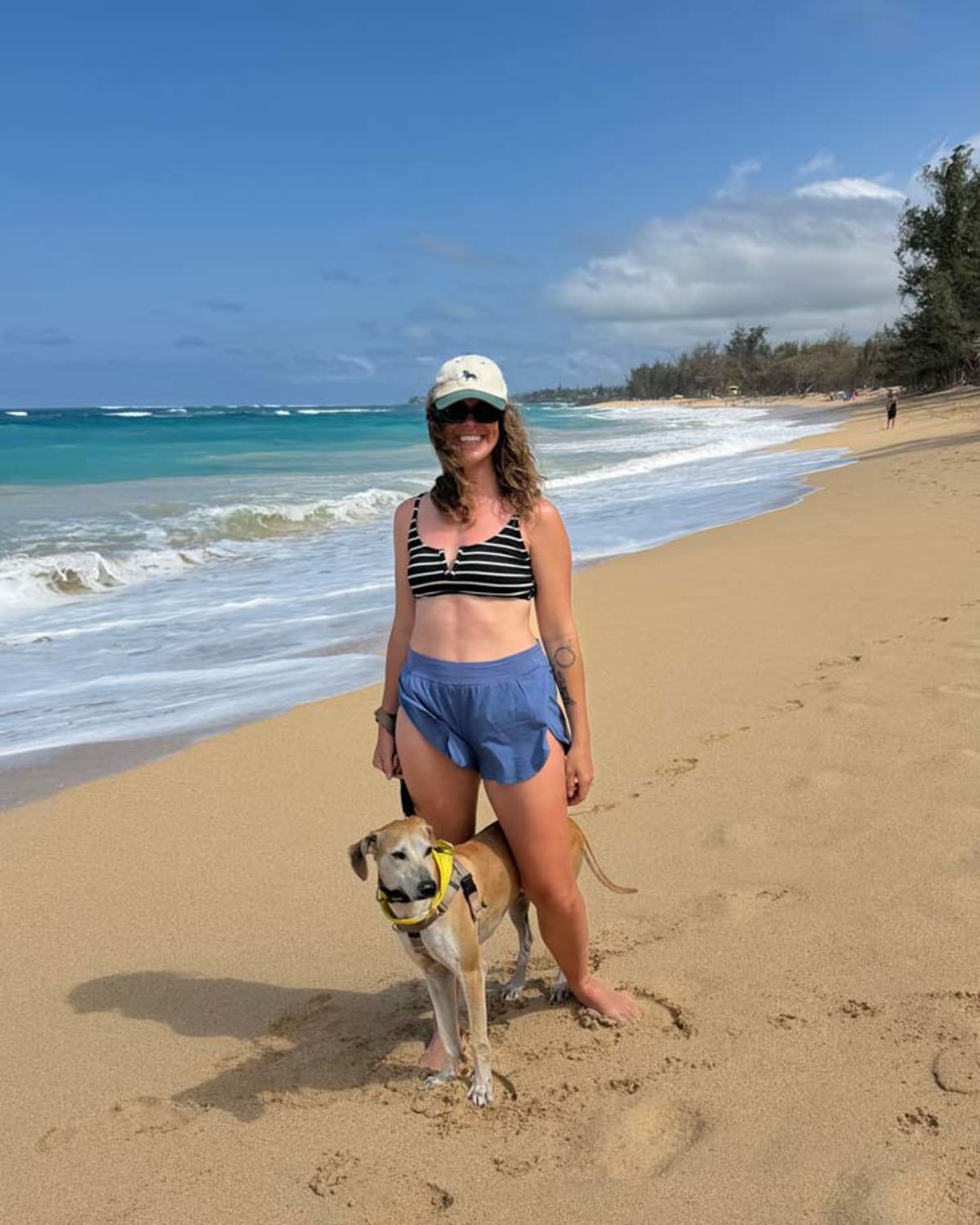Hawaii Shelters Let Tourists Borrow Dogs for Beach Days - Image 4