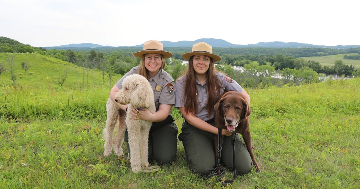 Golden retriever wearing official BARK Ranger badge at national park entrance with owner