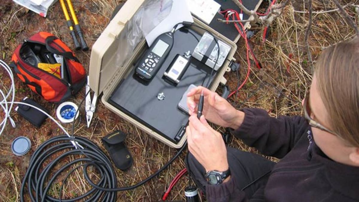 National Parks Use Sound Labs to Protect Wildlife - Image 2