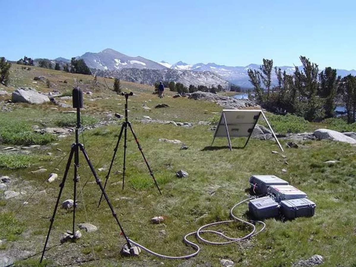 National Parks Use Sound Labs to Protect Wildlife - Image 3