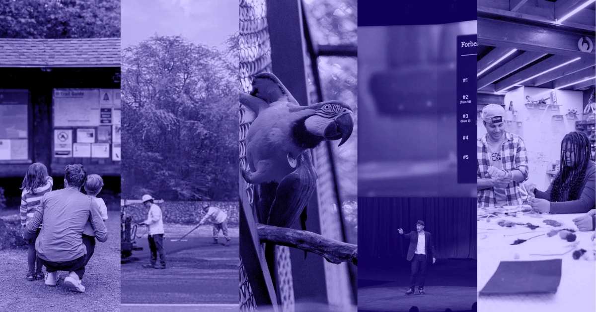 Brazil's Blue Macaws Return to Rio After 200 Years