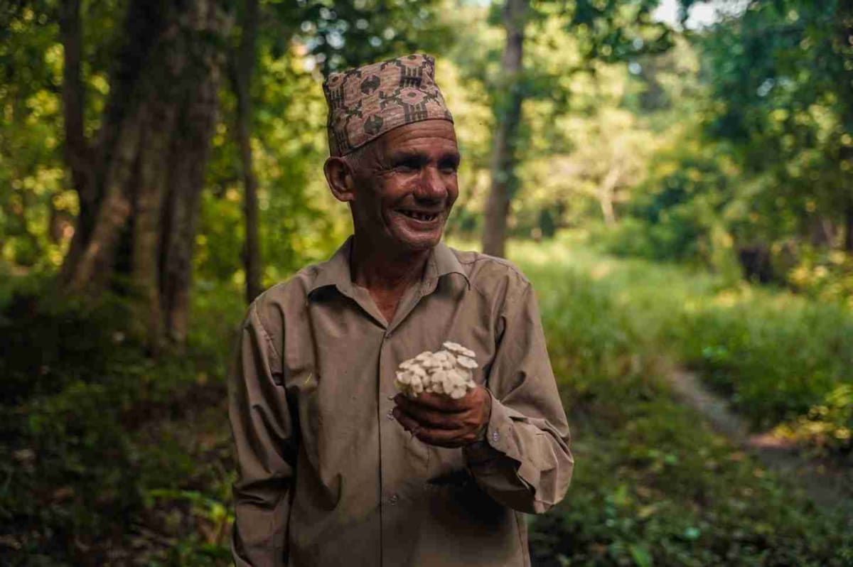 Nepal Volunteers Use Drones to Save Villages From Elephants - Image 2
