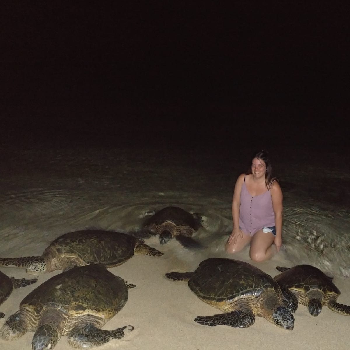 Mom Sees All 7 Sea Turtle Species While Helping Save Them - Image 2