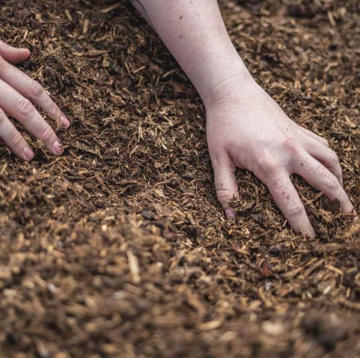 Green Burials Hit $1B as 60% Seek Eco-Friendly Farewells - Image 5