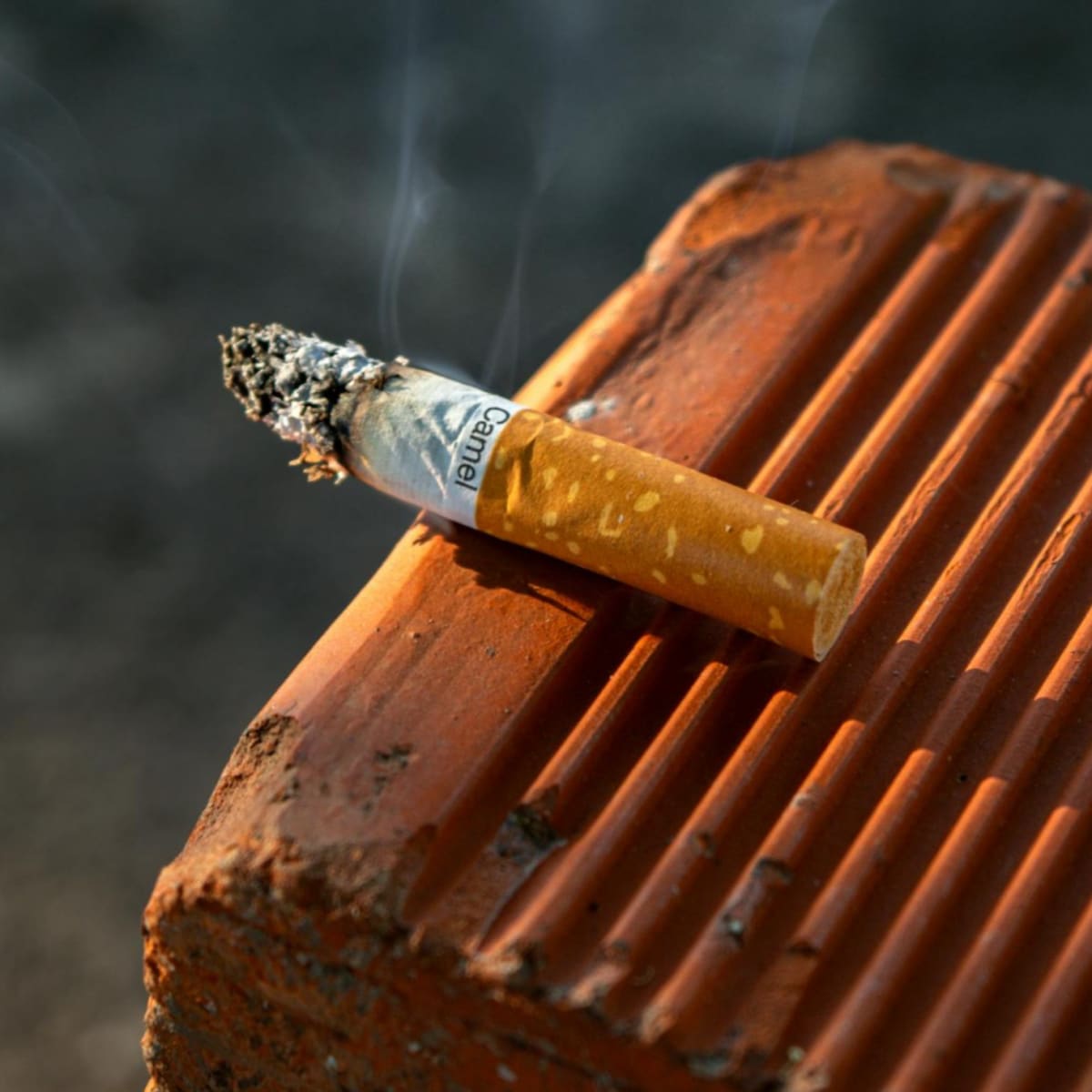 Scientists Turn 6 Trillion Cigarette Butts Into Bricks - Image 2