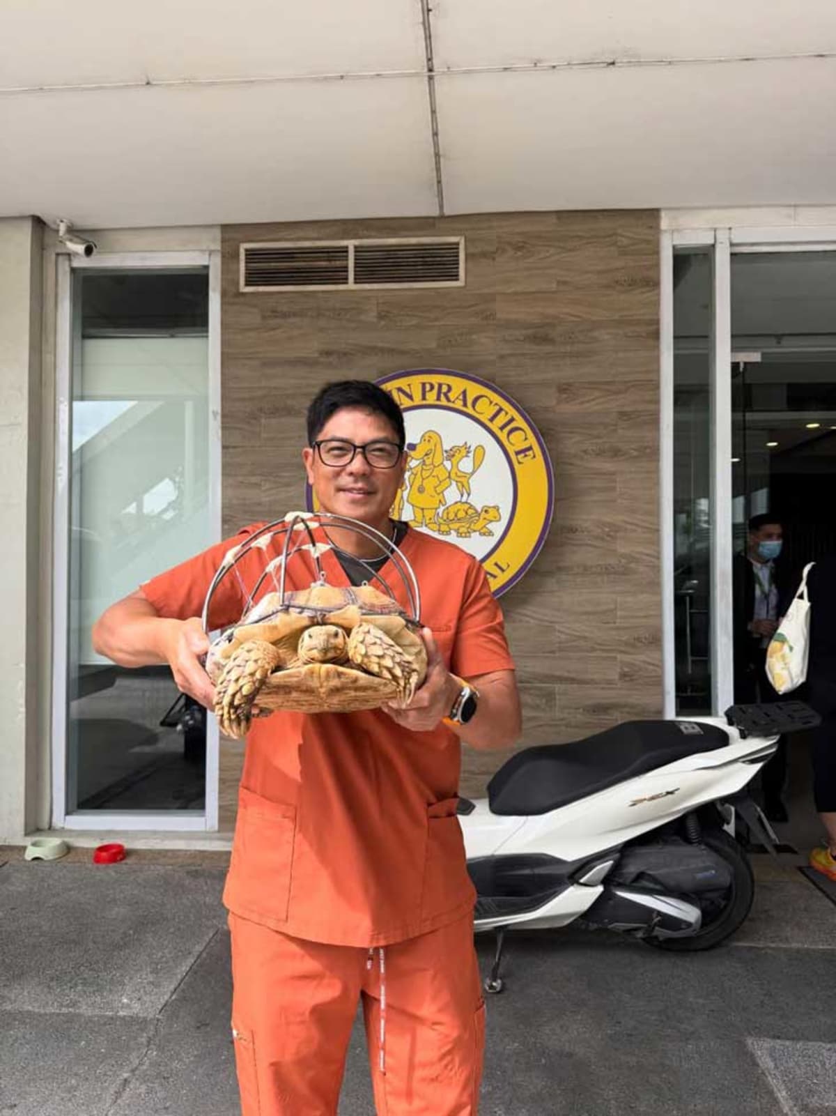 Vet Builds Custom Shell Brace to Save Run-Over Tortoise - Image 2