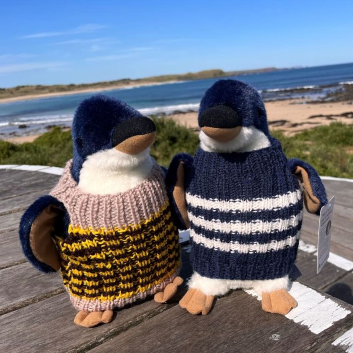 British 'Knitting Nannas' Raise Funds for Captive Elephants - Image 3