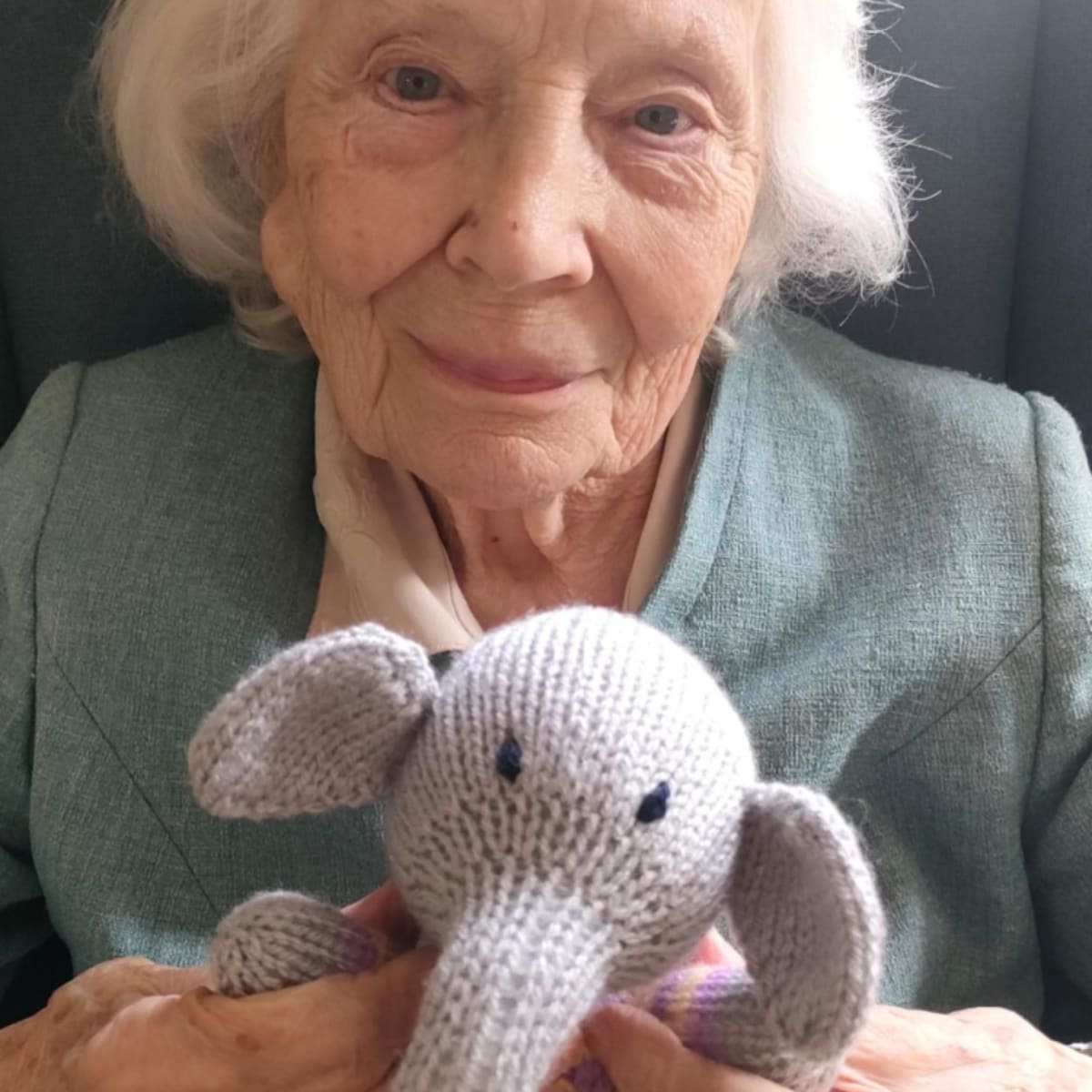 British 'Knitting Nannas' Raise Funds for Captive Elephants - Image 5