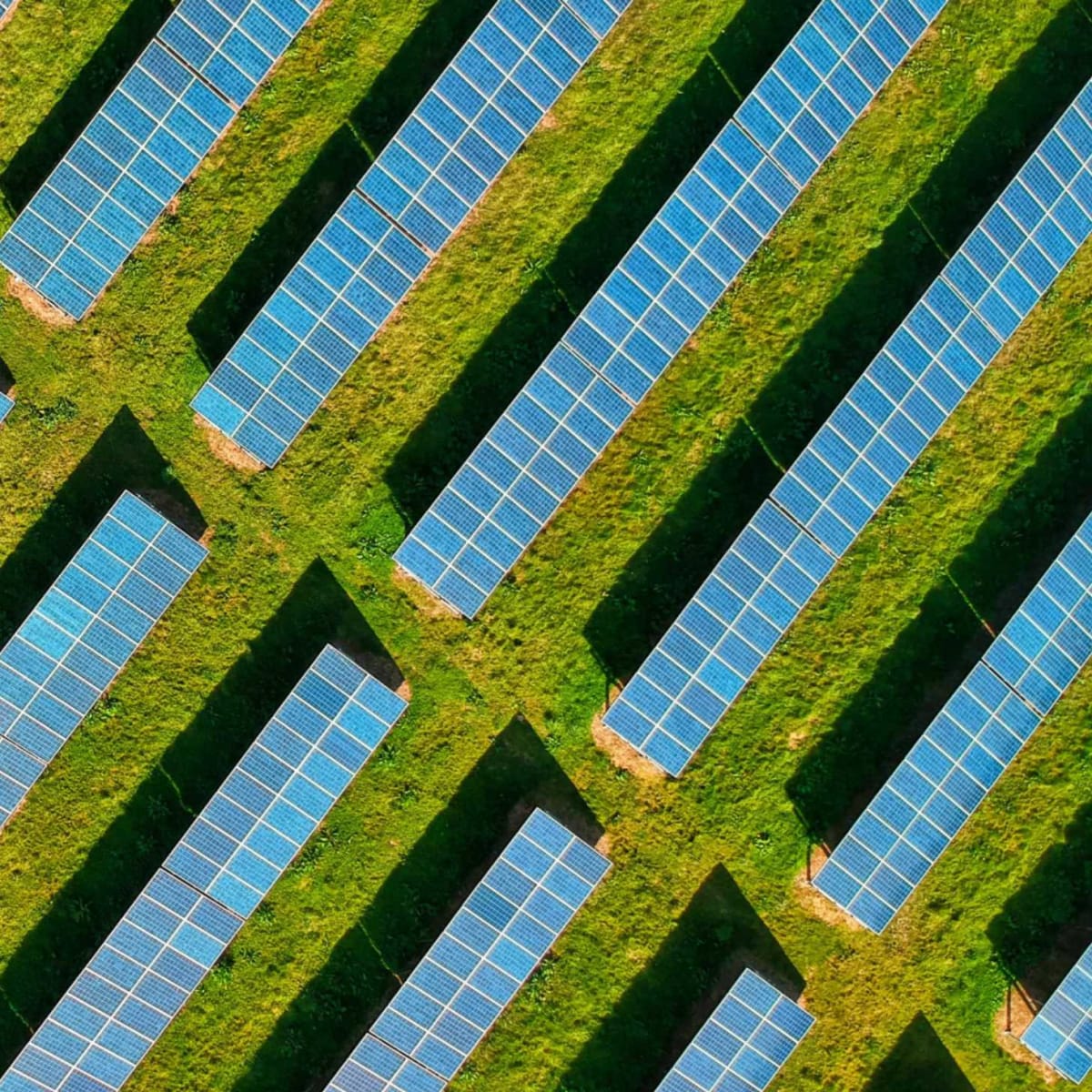 Solar and Wind Now 41% Cheaper Than Fossil Fuels - Image 2