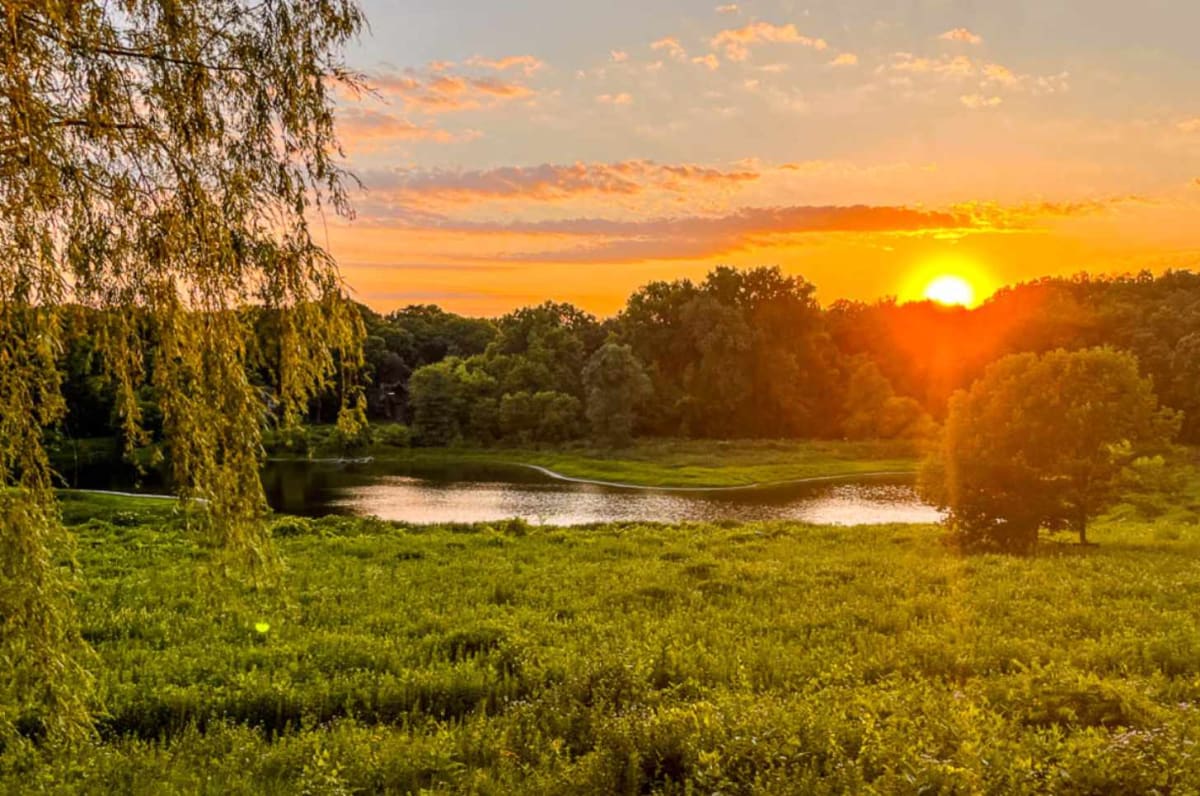 4 Wisconsin Nuns Turn 40 Acres Into 170-Acre Wildlife Haven - Image 3