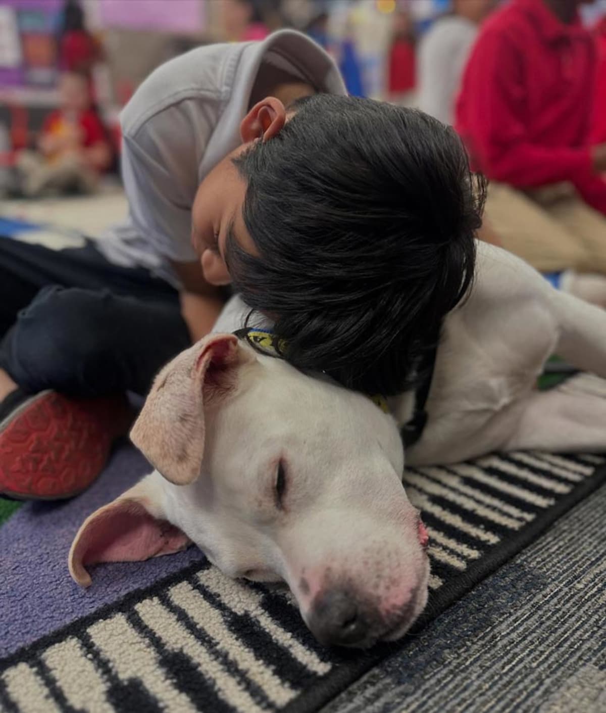 Deaf Pitbull Becomes Therapy Dog for Disabled Kids - Image 2