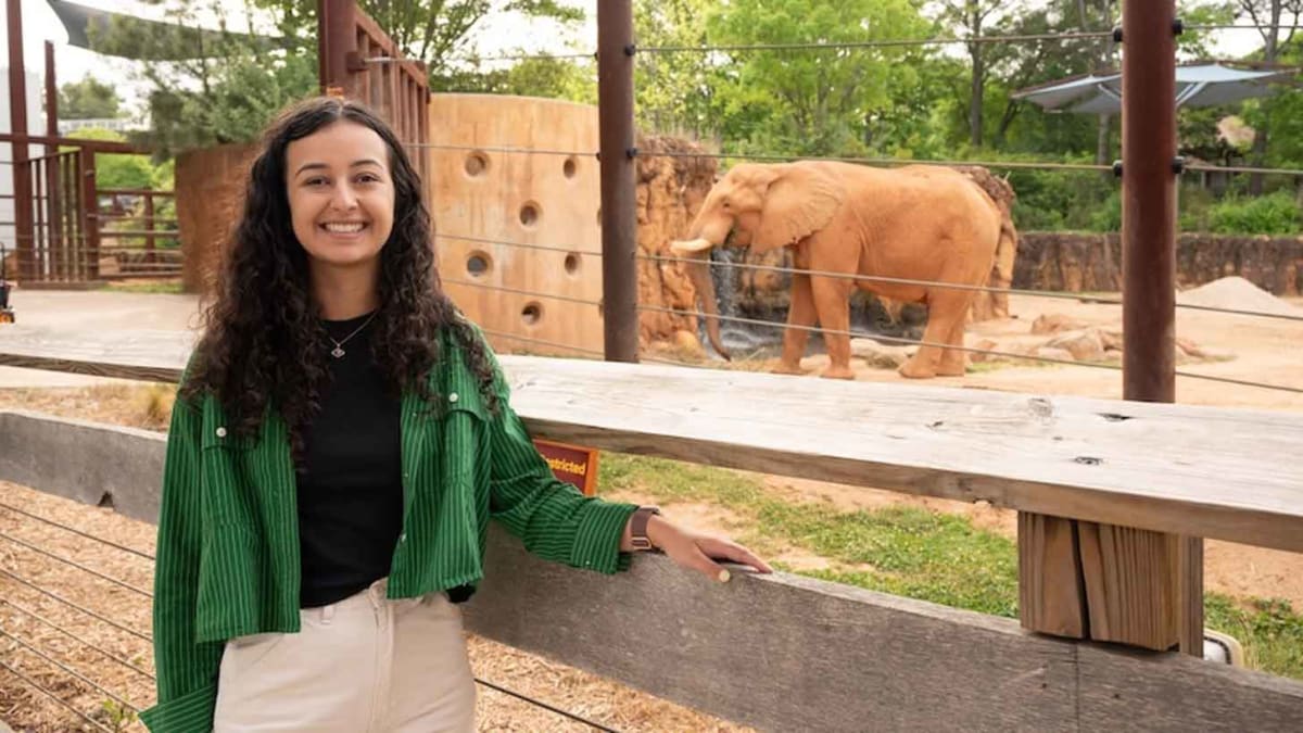 Georgia Tech Students Teach Zoo Elephants to Make Music - Image 3