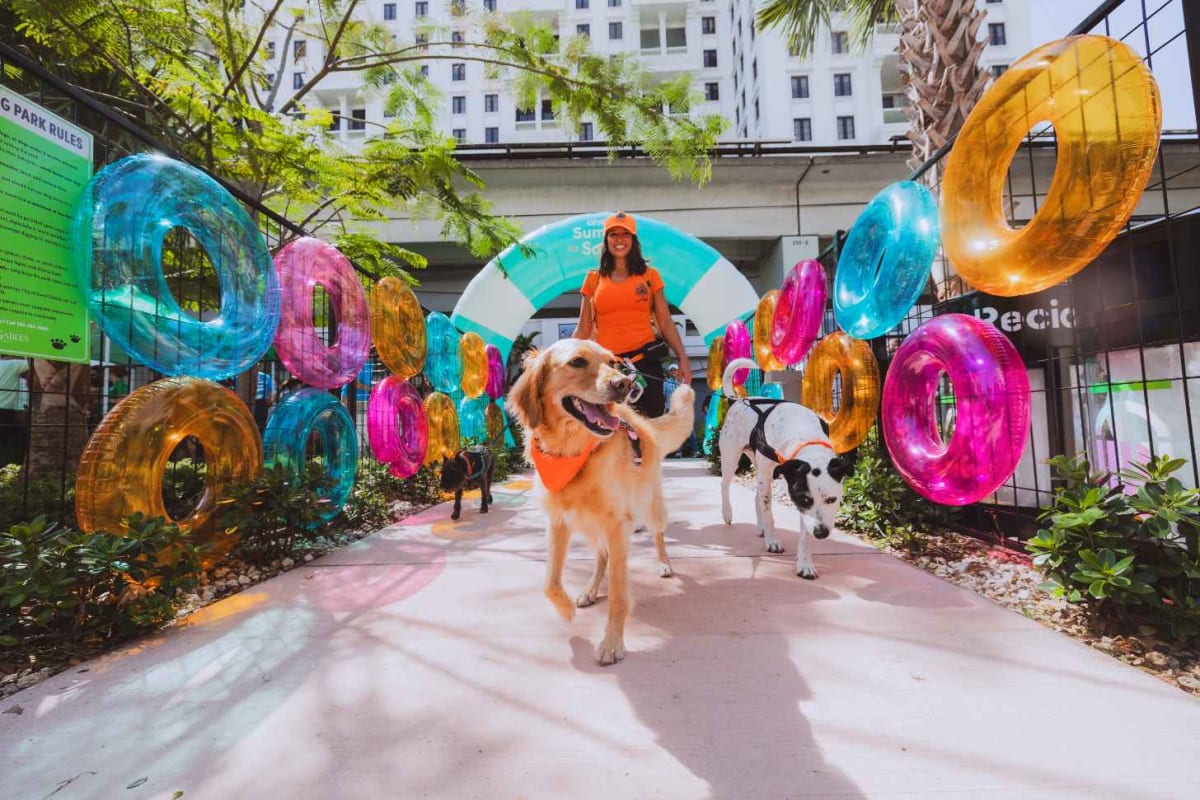 277 Dogs Break World Record at Florida Pool Party - Image 5