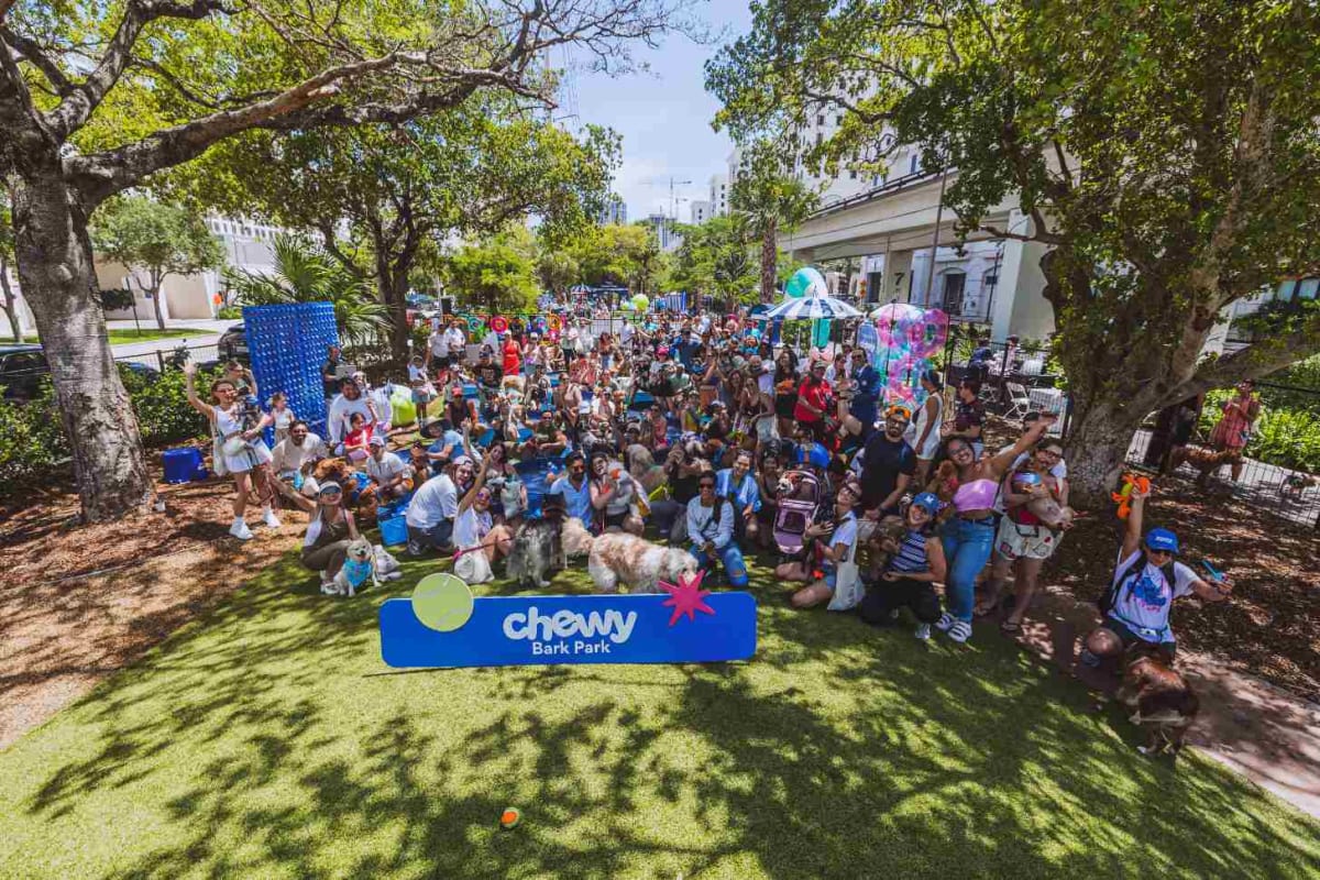 277 Dogs Break World Record at Florida Pool Party - Image 3