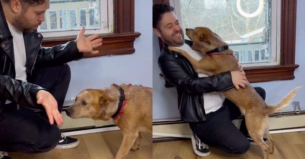 NYC Magician Uses Tricks to Find Shelter Dogs New Homes