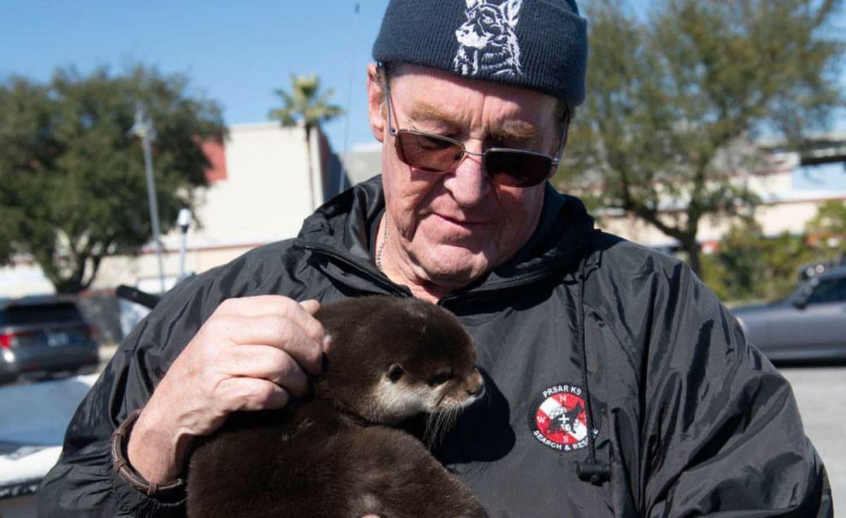 Meet Splash, America's First Search and Rescue Otter - Image 3
