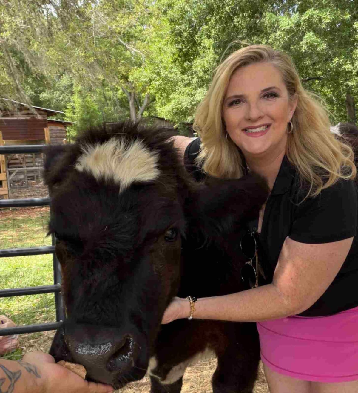 Florida Saves Charley the Cow Hours Before Slaughter - Image 3