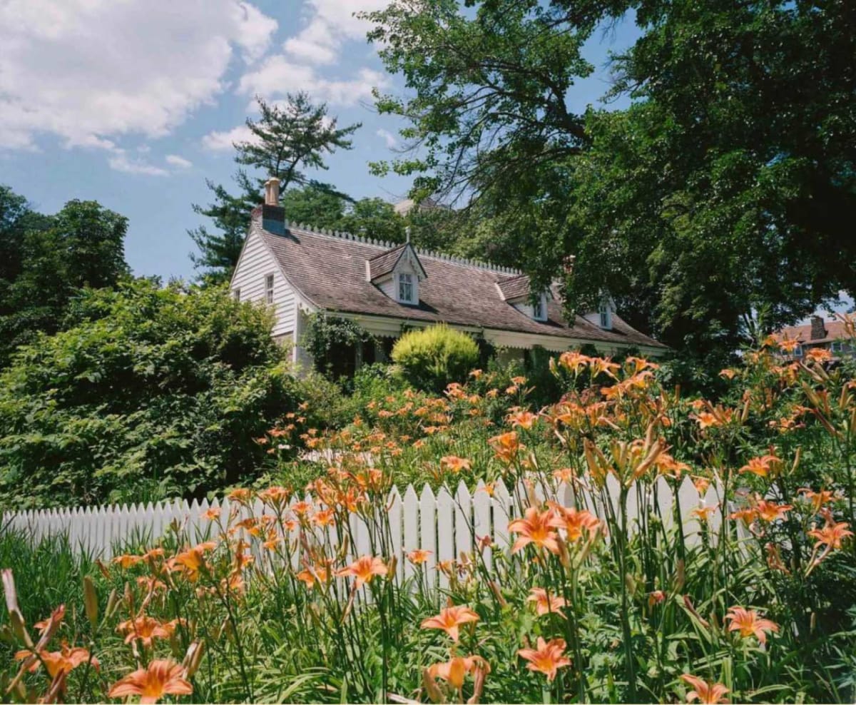 NYC Garden Celebrates Nature's Non-Binary Plant Species - Image 2