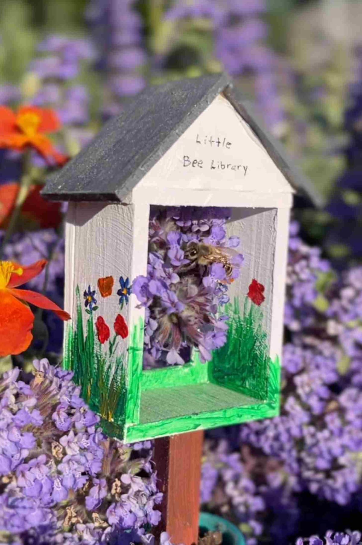 Portland Artist Turns Little Free Libraries Into Bee Gardens - Image 2