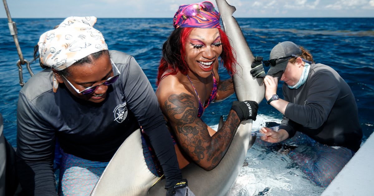Florida Drag Queen Tags Sharks to Fund LGBTQ+ Youth Center