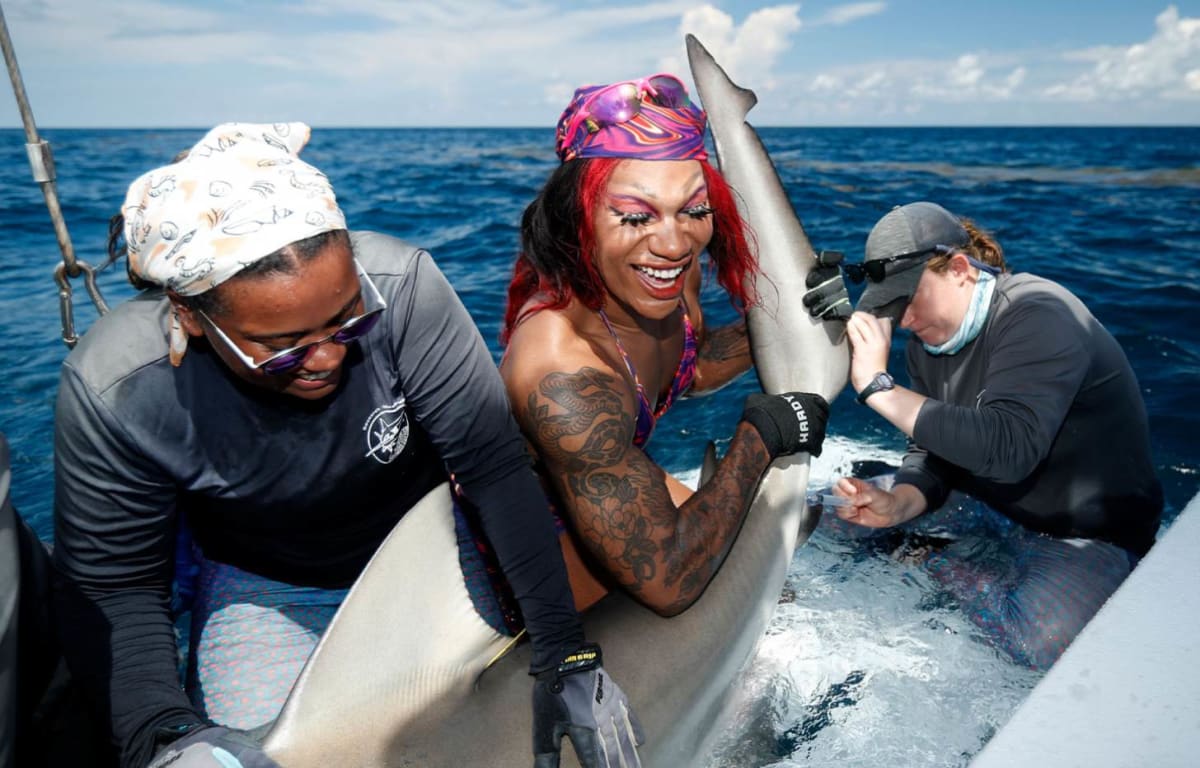 Florida Drag Queen Tags Sharks to Fund LGBTQ+ Youth Center - Image 2