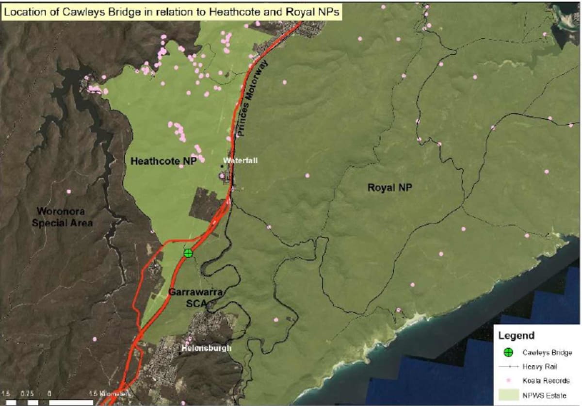 Australia Builds Wildlife Bridge Saving Endangered Quolls - Image 5