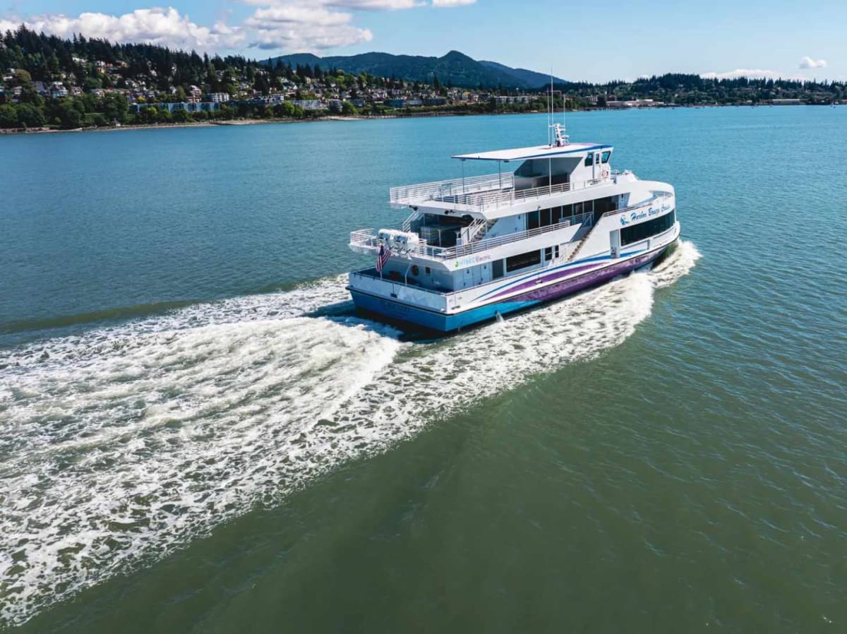 Captain Builds World's First Hybrid Whale-Watching Boat - Image 2