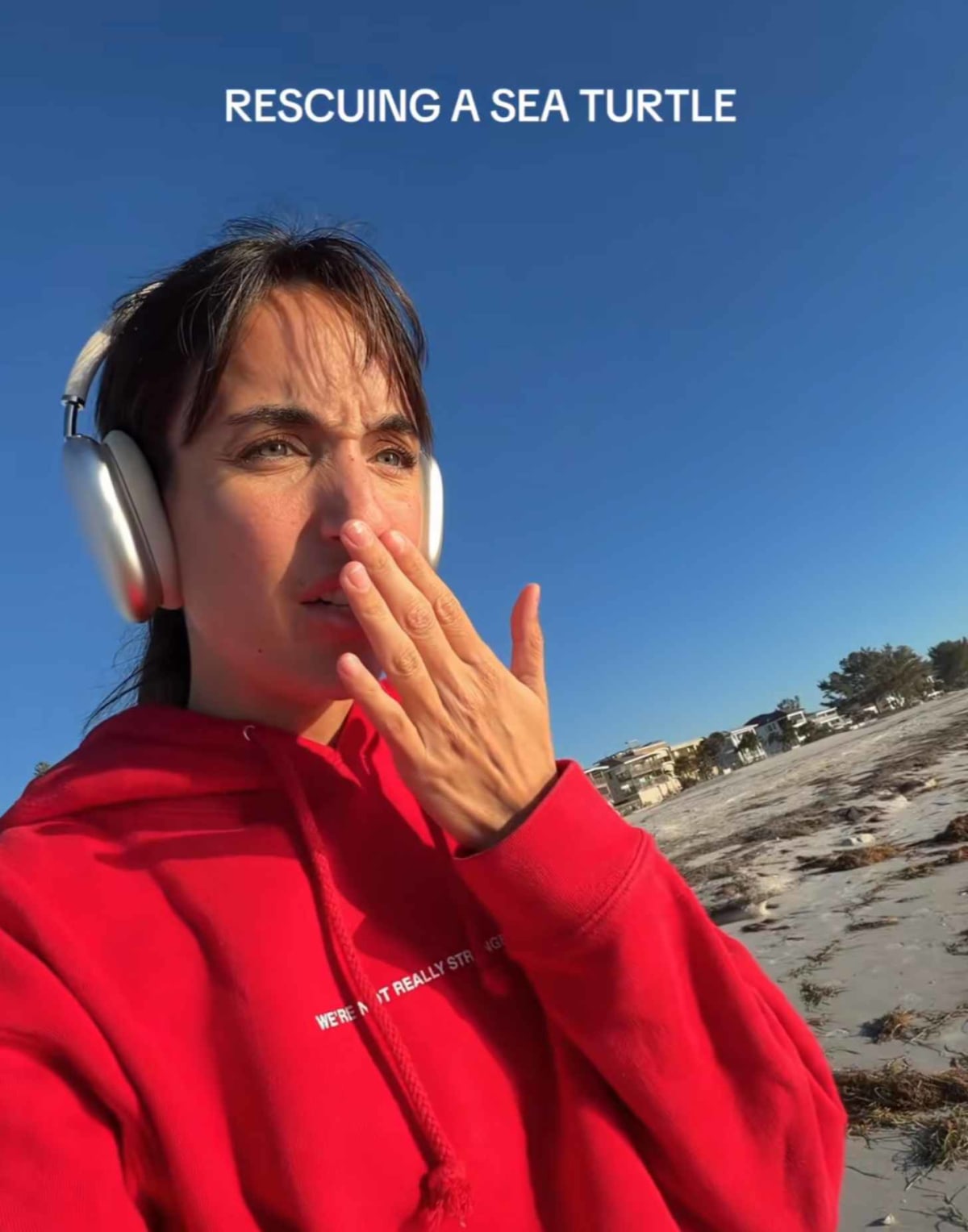 Florida Woman Waits 3 Hours to Save Stranded Sea Turtle - Image 2