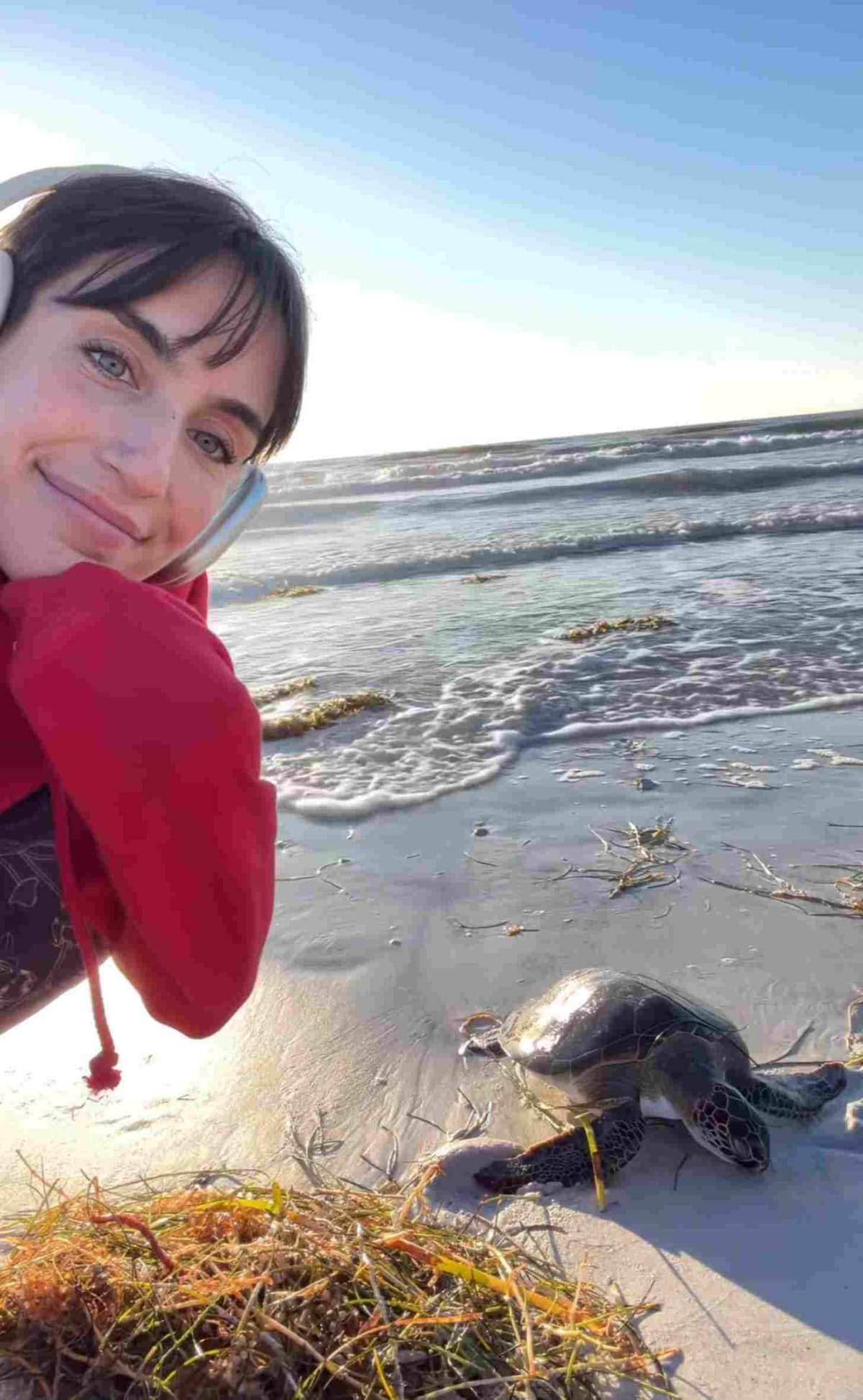 Florida Woman Waits 3 Hours to Save Stranded Sea Turtle - Image 4