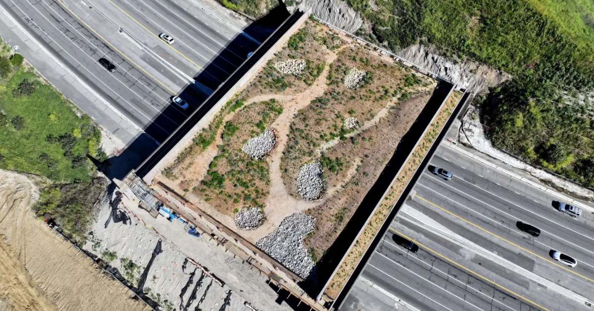World's Largest Wildlife Bridge Opens in California
