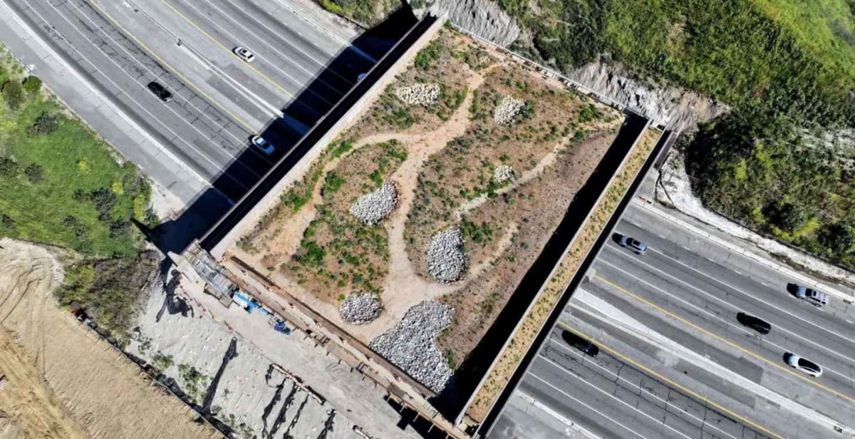 World's Largest Wildlife Bridge Opens in California - Image 2