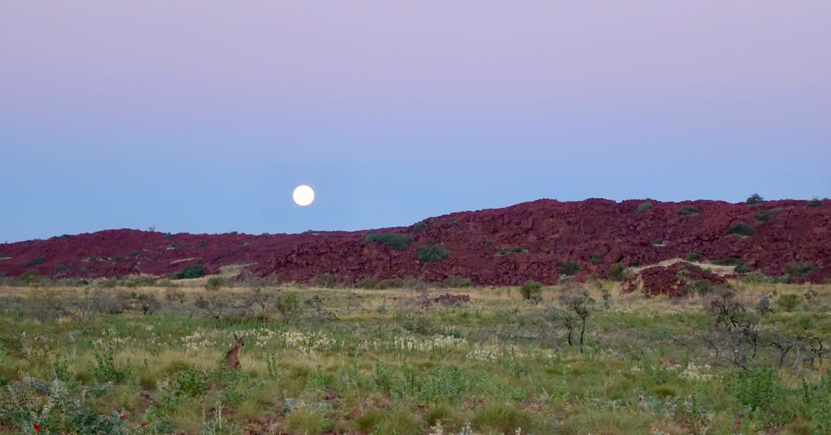 50,000-Year-Old Rock Art in Australia Wins UNESCO Protection