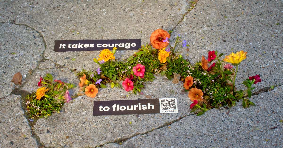Colorful flowers planted in sidewalk crack as part of Courage to Grow campaign