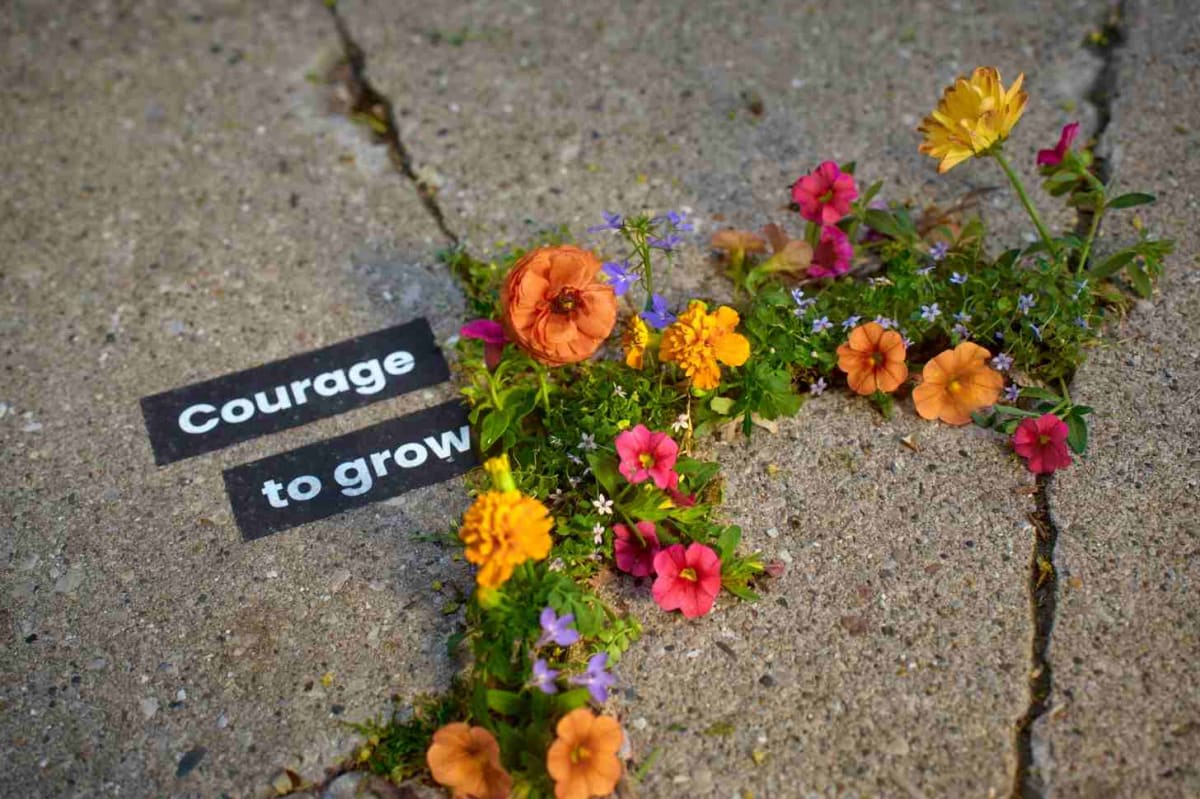 Wisconsin Plants Flowers in Sidewalks for Homeless LGBTQ+ Youth - Image 3