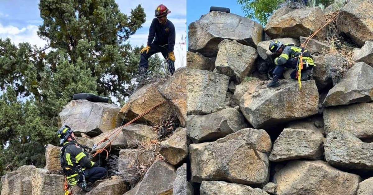 Oregon Firefighters Rescue Dog Stranded on Cliff Overnight - Image 2