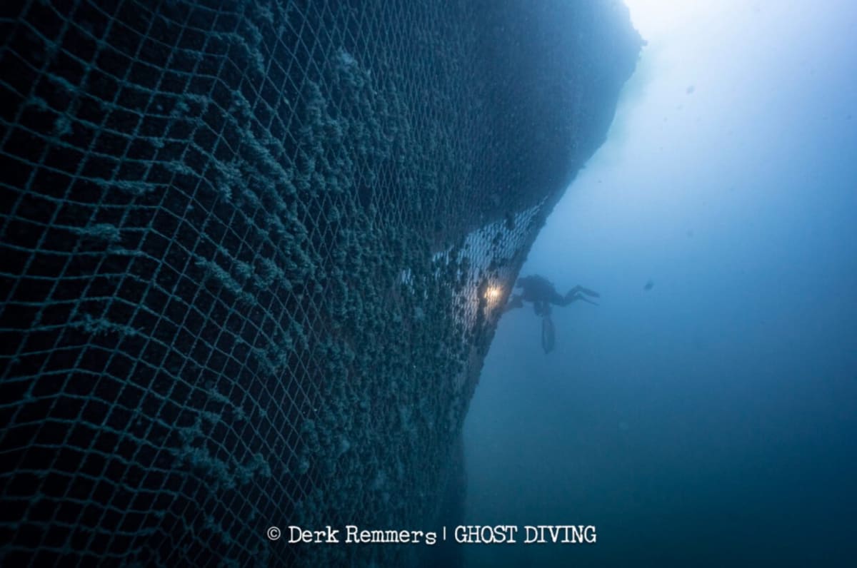 Divers Remove Ghost Nets, Meet Rare Great White Shark - Image 2