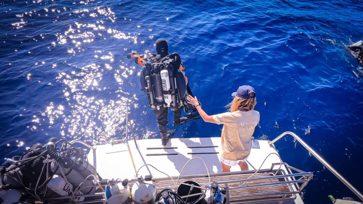 Divers Remove Ghost Nets, Meet Rare Great White Shark - Image 5