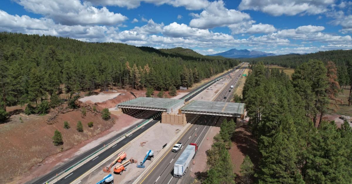 Arizona's 27th Wildlife Bridge Cuts Animal Crashes by 90%