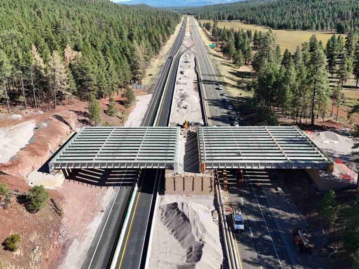 Arizona's 27th Wildlife Bridge Cuts Animal Crashes by 90% - Image 2