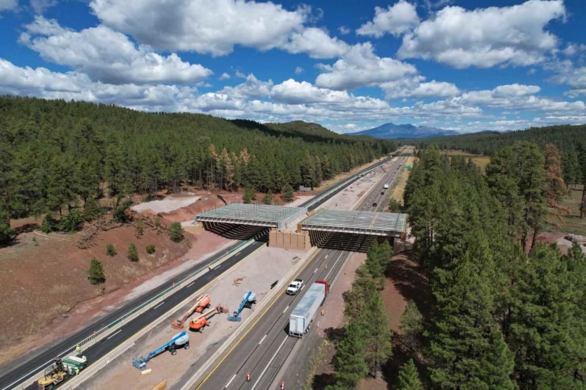 Arizona's 27th Wildlife Bridge Cuts Animal Crashes by 90% - Image 3