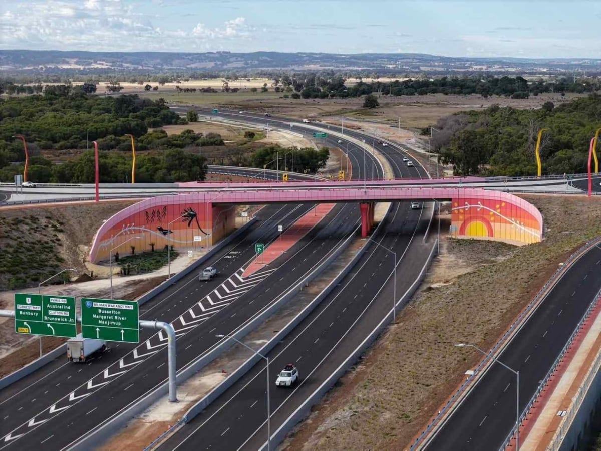 Australia Highway Bridges Save 75 Animals Nightly - Image 2