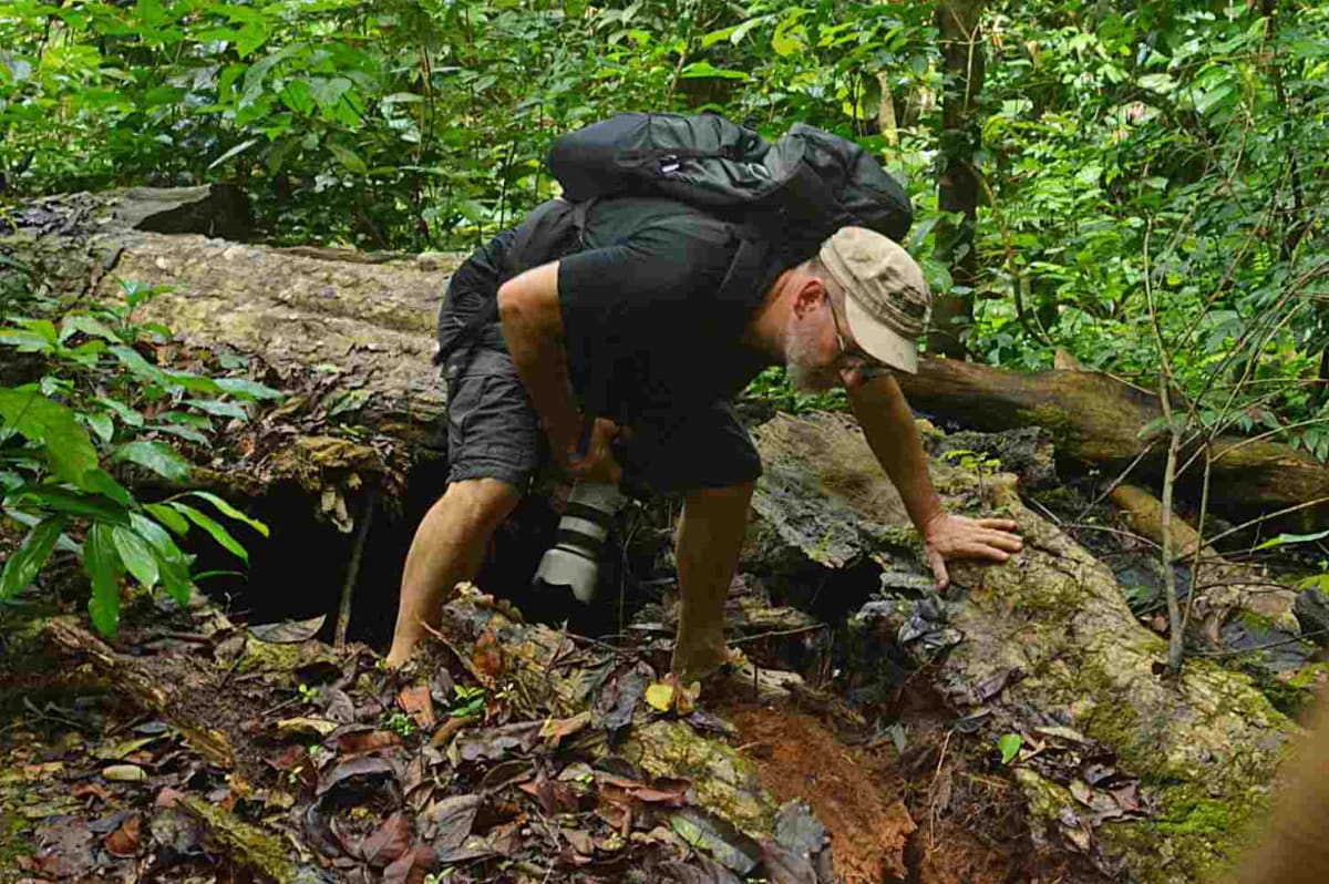 Rare Frogs and Giant Scorpions Draw Tourists to Ivorian Forest - Image 2