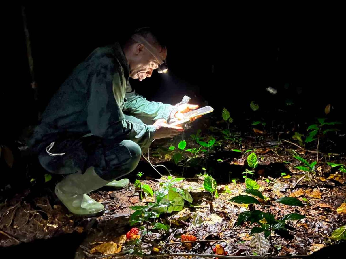 Rare Frogs and Giant Scorpions Draw Tourists to Ivorian Forest - Image 3