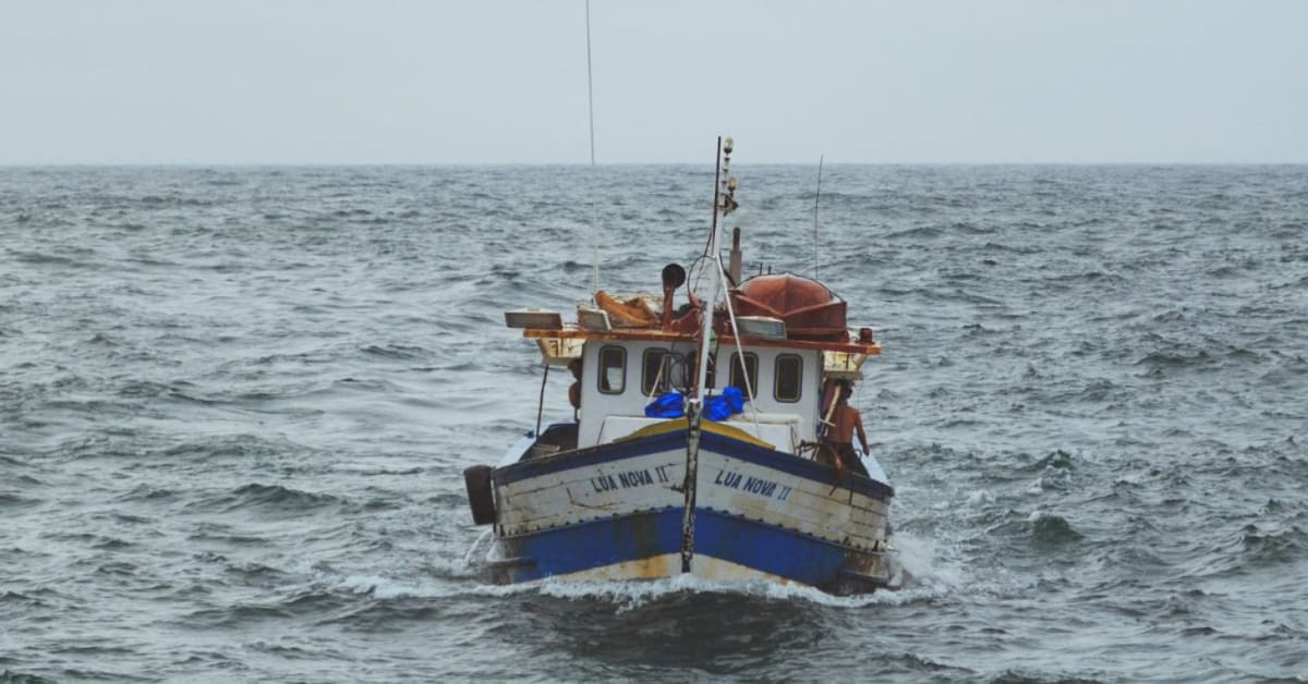 Fishermen Battle Winds to Free 700-Pound Sea Turtle - Image 2