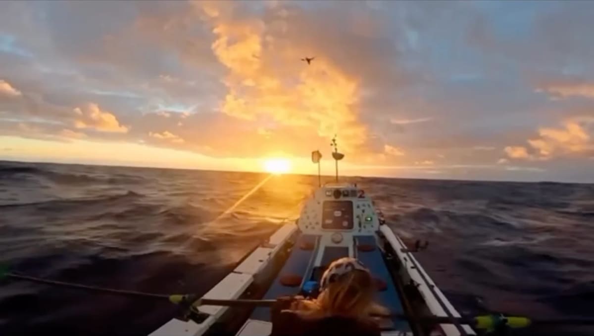 Woman Rows California to Hawaii in Record 43 Days - Image 2