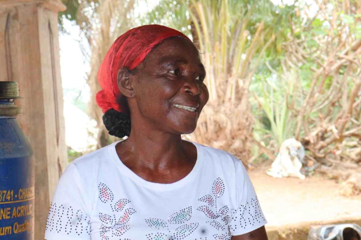 Nigerian Women Patrol Mountains to Save Last 300 Gorillas - Image 3
