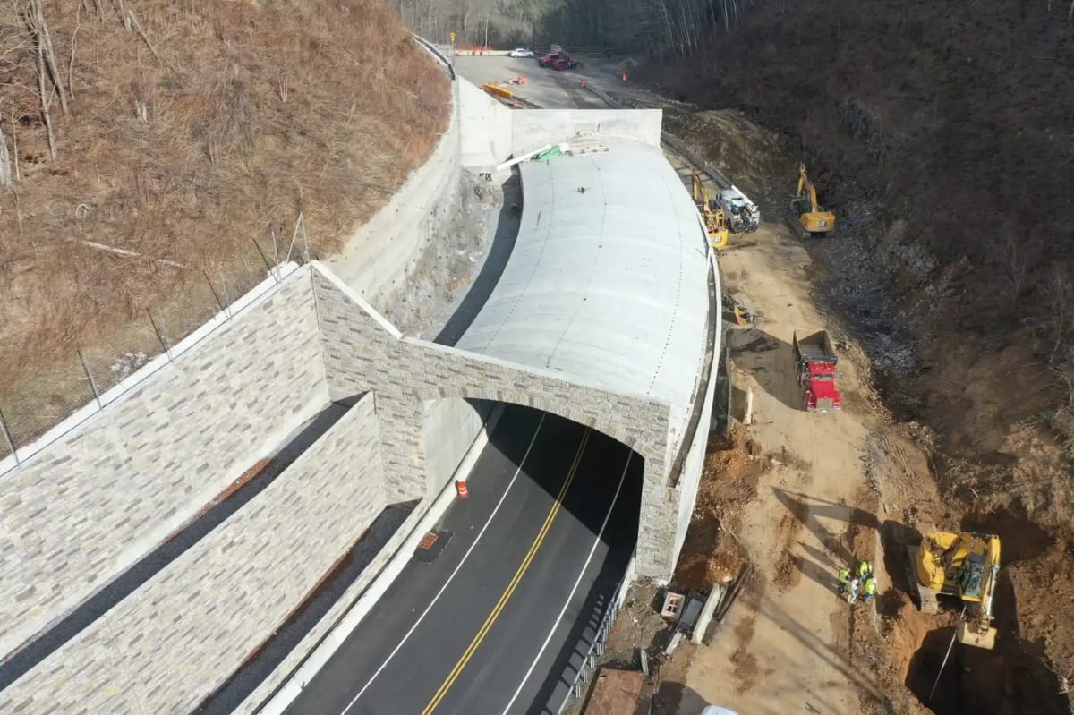 NC Builds $10M Bridge Where Hikers and Bears Cross Together - Image 3