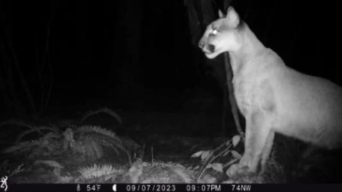 Family Sells 136-Year Farm for Wildlife Bridge in Washington - Image 3